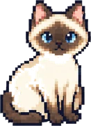 سيامية